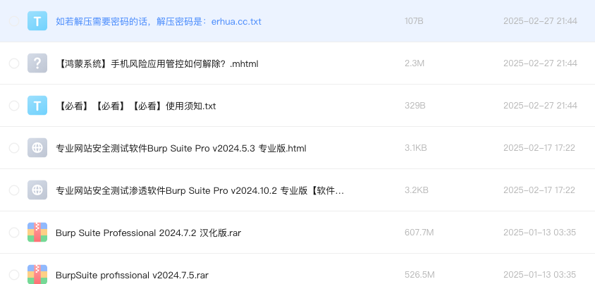 专业网站安全测试软件Burp Suite Pro