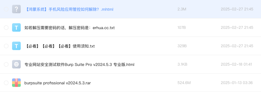 专业网站安全测试软件Burp Suite Pro v2024.5.3 专业版